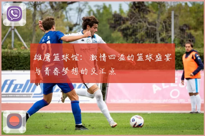 雄鹰篮球馆：激情四溢的篮球盛宴与青春梦想的交汇点