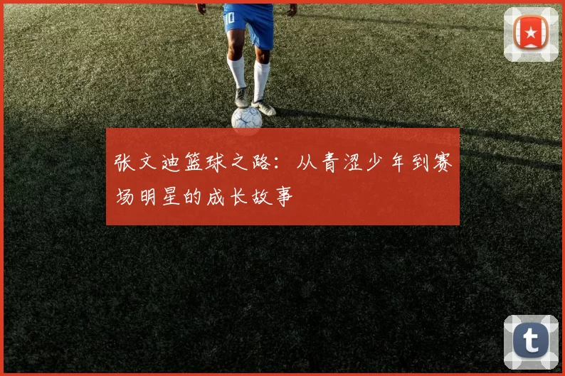 张文迪篮球之路：从青涩少年到赛场明星的成长故事