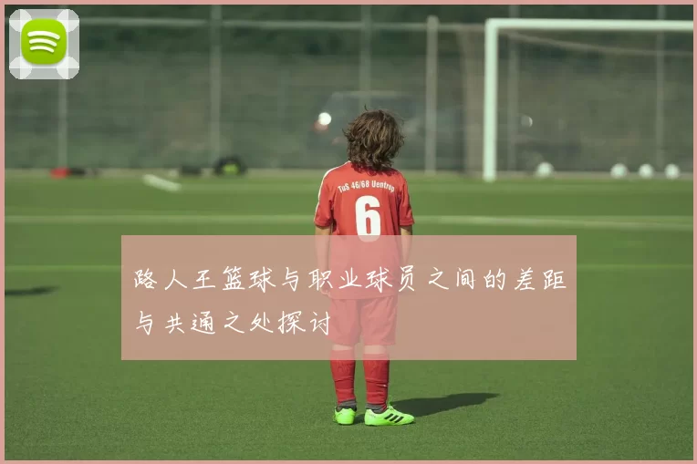 路人王篮球与职业球员之间的差距与共通之处探讨