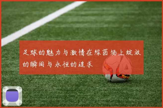 足球的魅力与激情在绿茵场上绽放的瞬间与永恒的追求