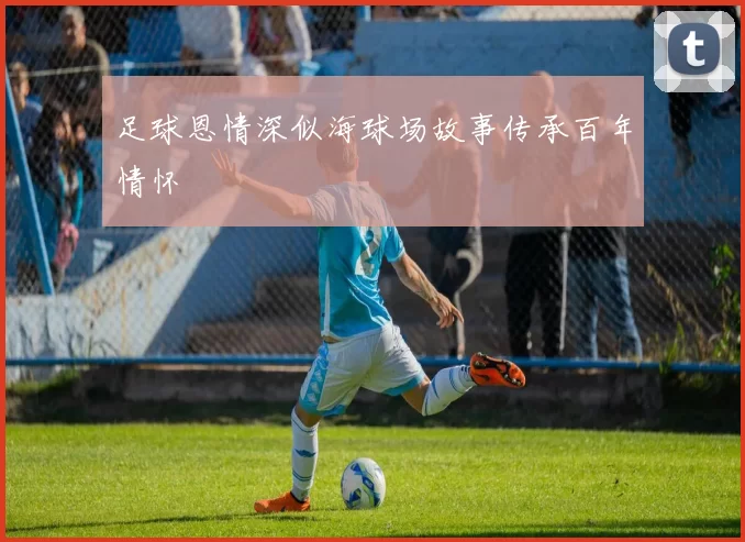 足球恩情深似海球场故事传承百年情怀
